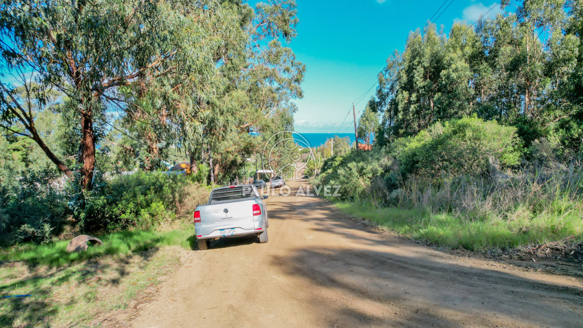 Punta Fria - GoPunta - Portal Inmobiliario de Punta del Este - Maldonado