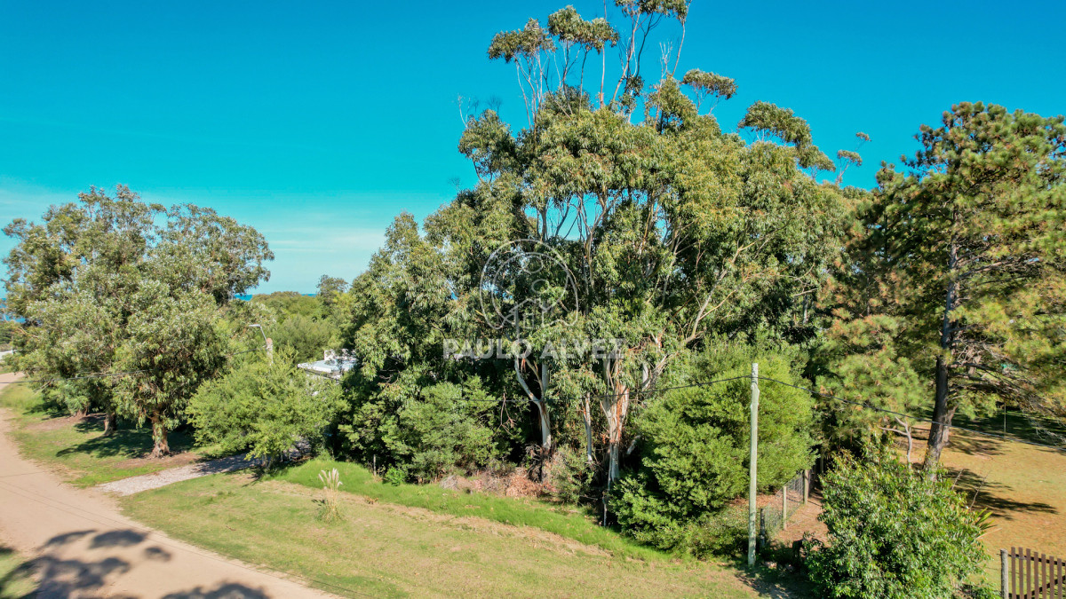 Barra Portezuelo - GoPunta - Portal Inmobiliario de Punta del Este - Maldonado
