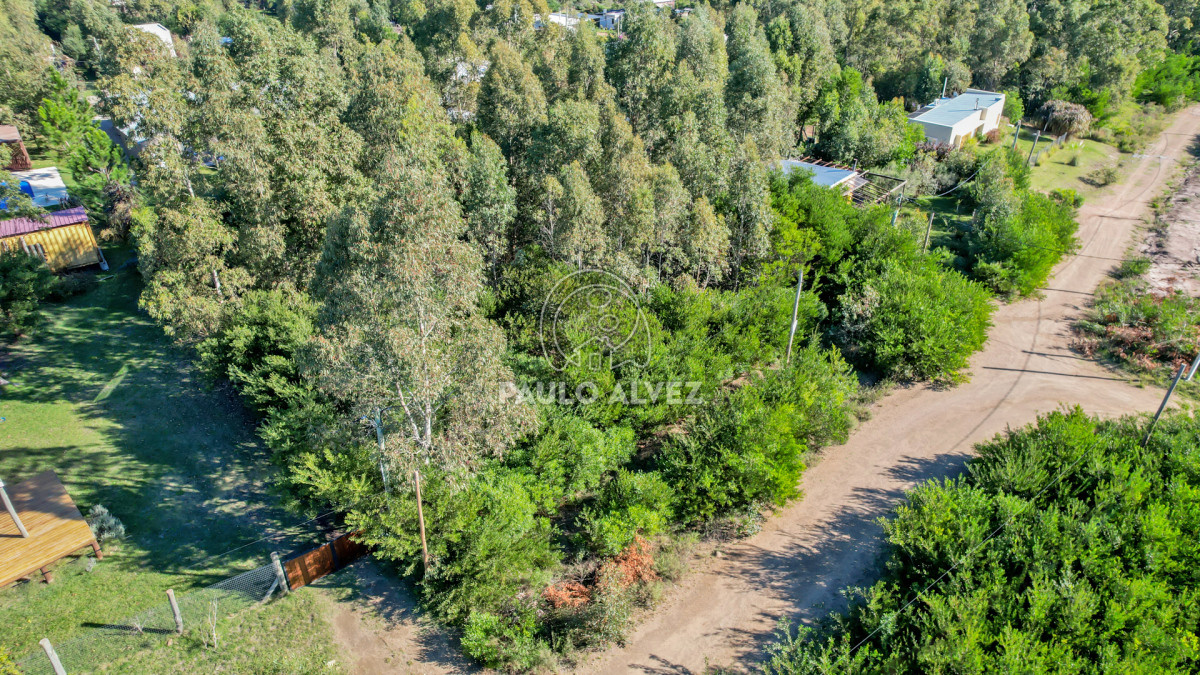 Punta Colorada - GoPunta - Portal Inmobiliario de Punta del Este - Maldonado