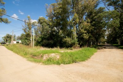 Te1457, terreno en venta ubicado en Bella Vista, zona codiciada y en pleno crecimiento. 