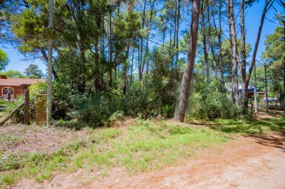 Te1543- Ubicado en Country, zona en constante crecimiento, un lugar ideal para comenzar tu proyecto de vida. Servicios de ute y ose en puerta