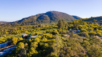 Te1493- Terreno en venta, Zona con un entorno tranquilo, ideal para quienes buscan la naturaleza