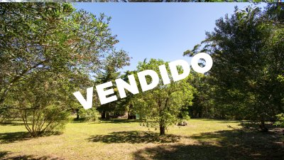 Te1507- terreno en Bella Vista, a metros de la playa, zona en constante crecimiento, ideal para comenzar tu proyecto de vida 