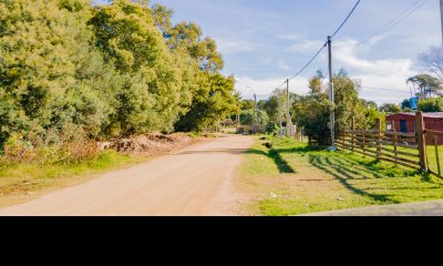 Te1580- Terreno se encuentra alto, arbolado. Un lugar ideal para comenzar tu proyecto de vida