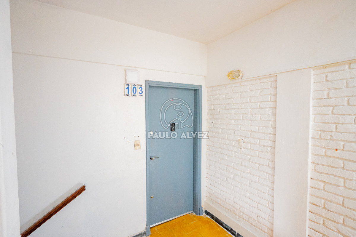Centro - GoPunta - Portal Inmobiliario de Punta del Este - Maldonado