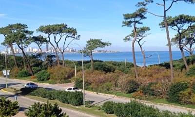 Apartamento en venta en edificio Primea linea de Playa mansa