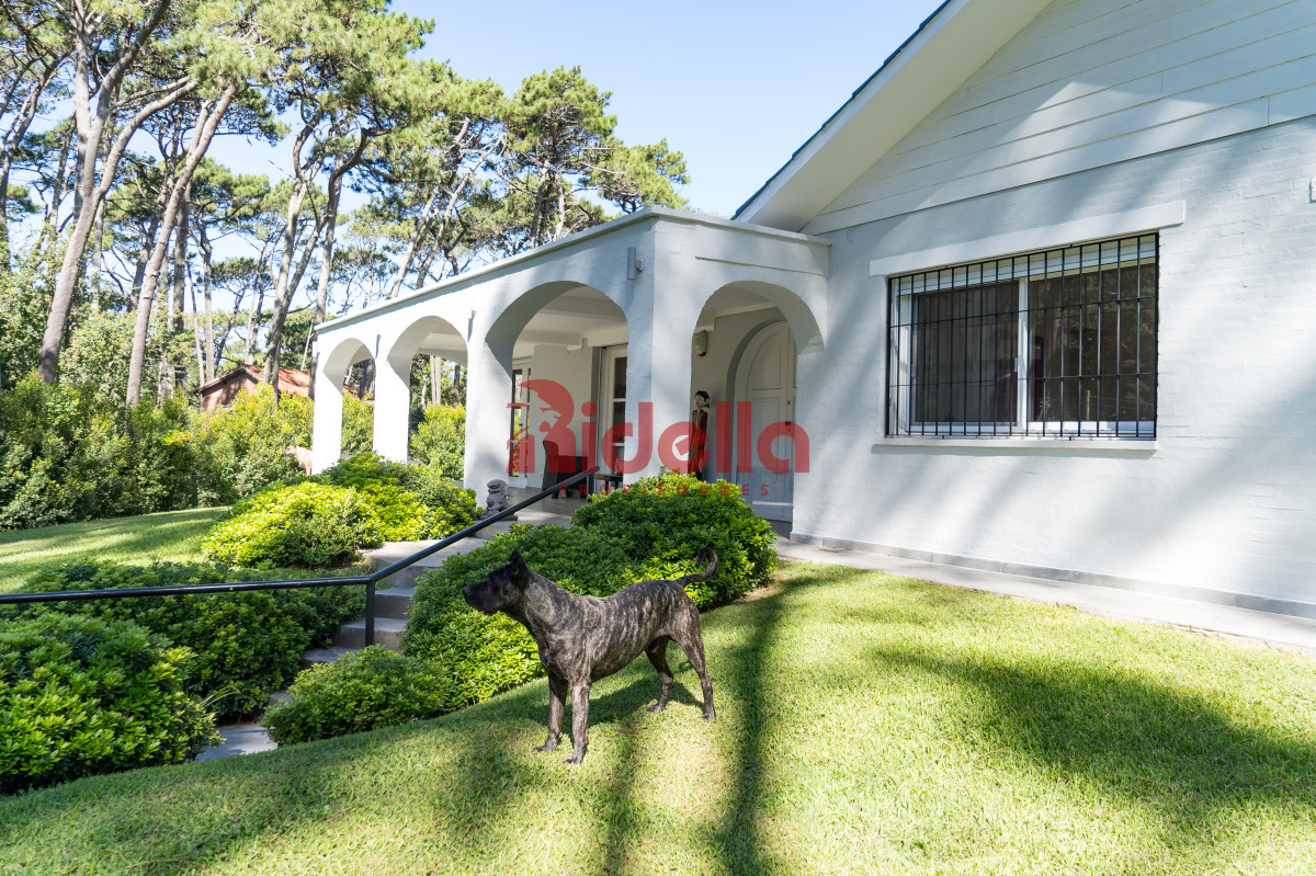 Casa ID.670 - Hogar renovado en San Rafael, ubicación privilegiada.