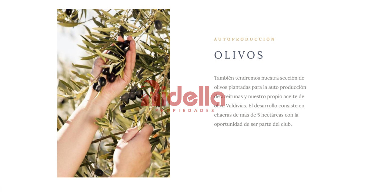 Chacra ID.610 - Venta de Chacra de 5 hectáreas en Aiguá, Maldonado