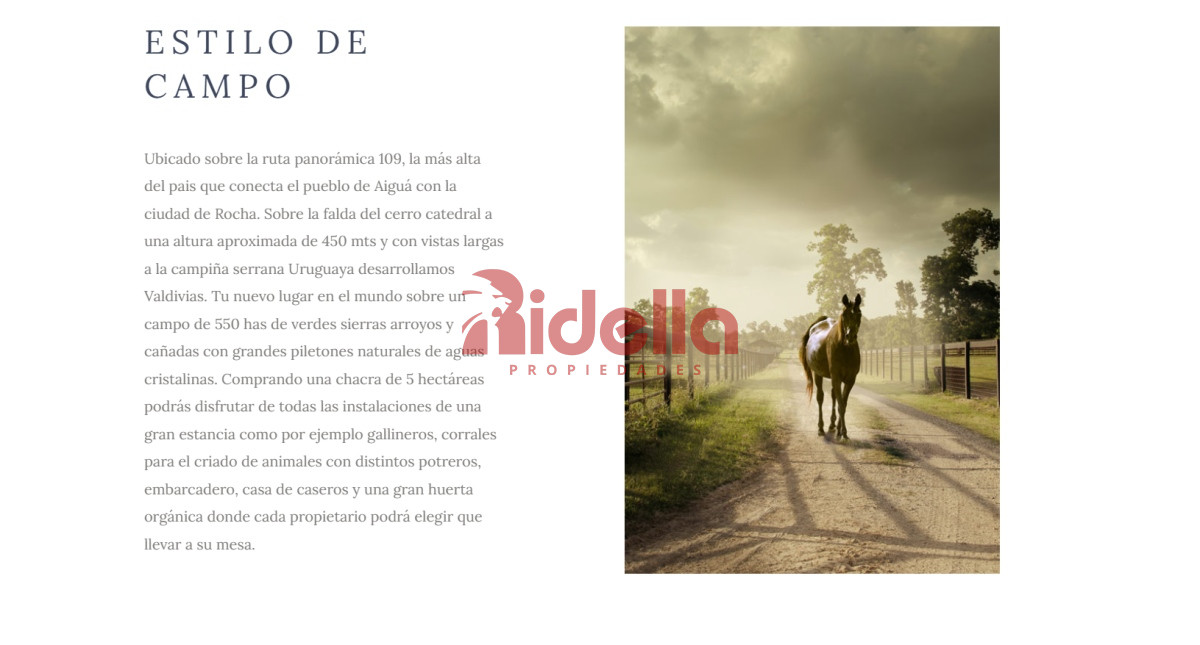 Chacra ID.610 - Venta de Chacra de 5 hectáreas en Aiguá, Maldonado