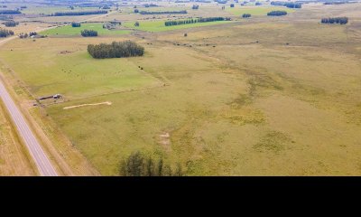 Campo en venta 54 hectáreas ruta 39