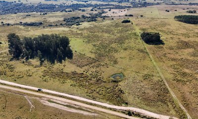 Campo en Sierras de Garzón, 5 hectáreas - Ideal para desarrollo rural o viñedos