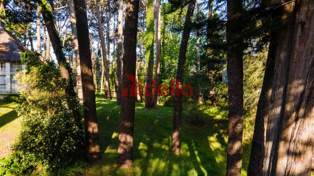 Terreno ID.356 - Lote en venta San Rafael 