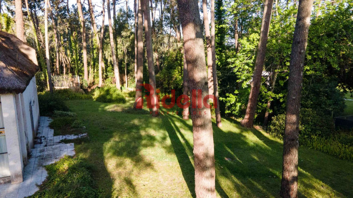 Terreno ID.356 - Lote en venta San Rafael 