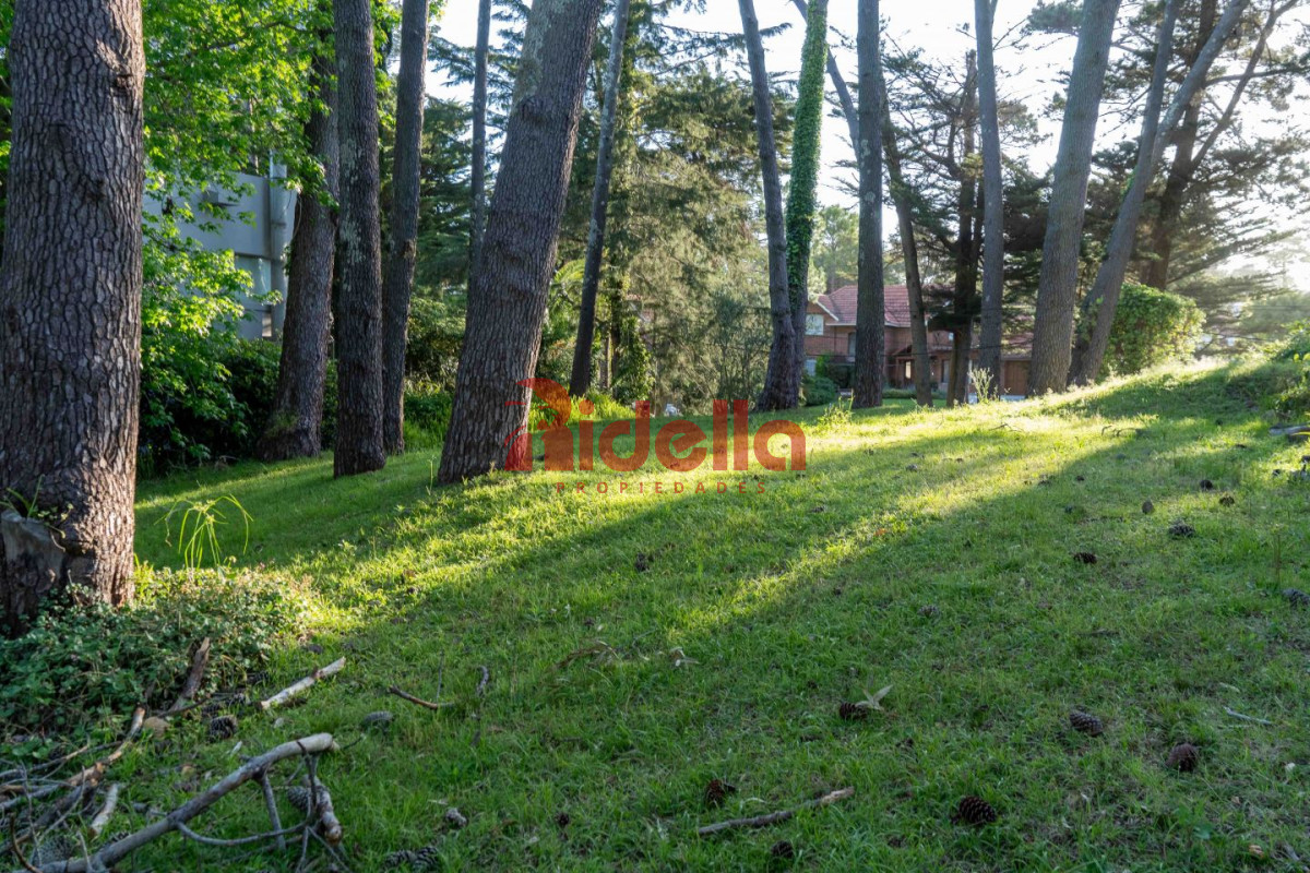 Terreno ID.356 - Lote en venta San Rafael 