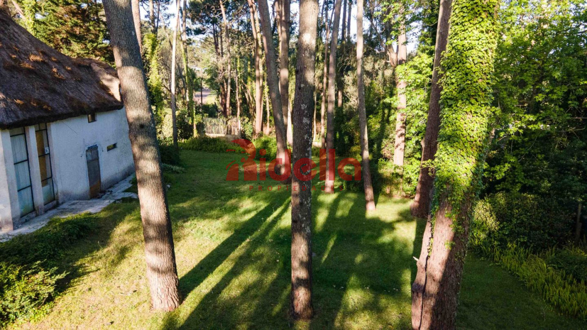 Terreno ID.356 - Lote en venta San Rafael 