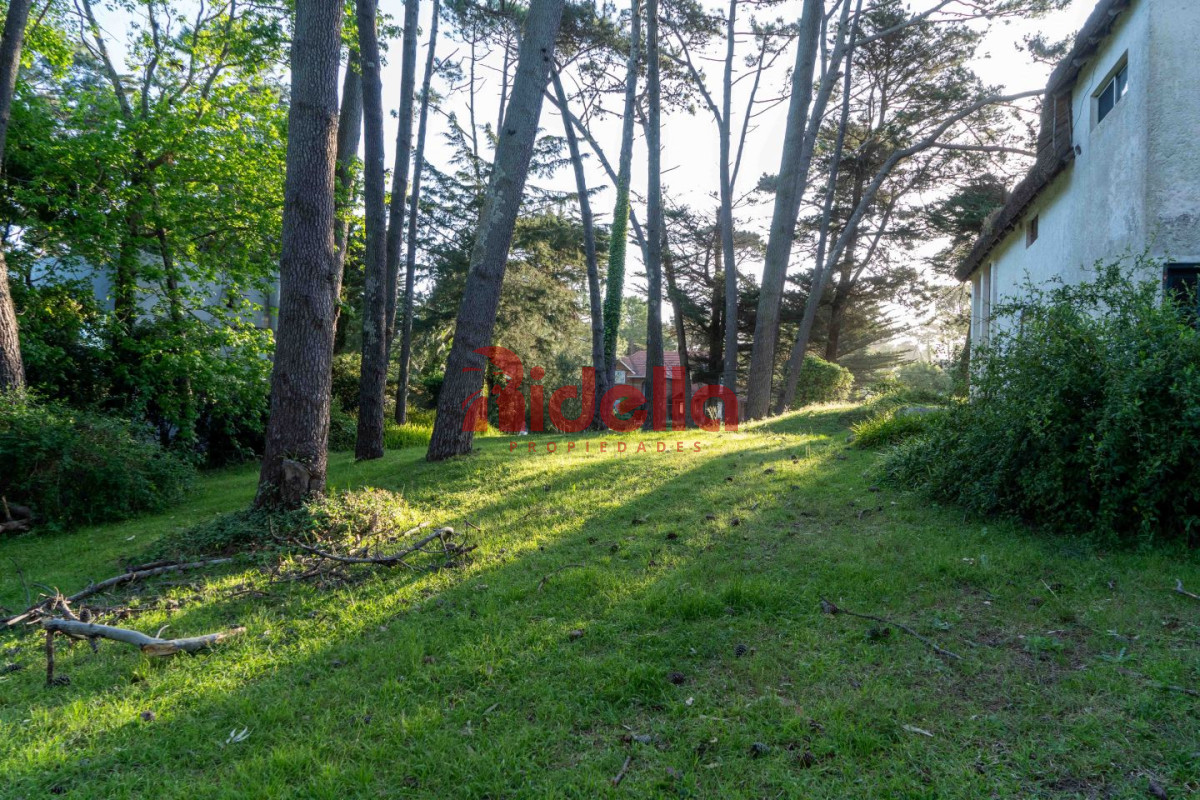 Terreno ID.356 - Lote en venta San Rafael 