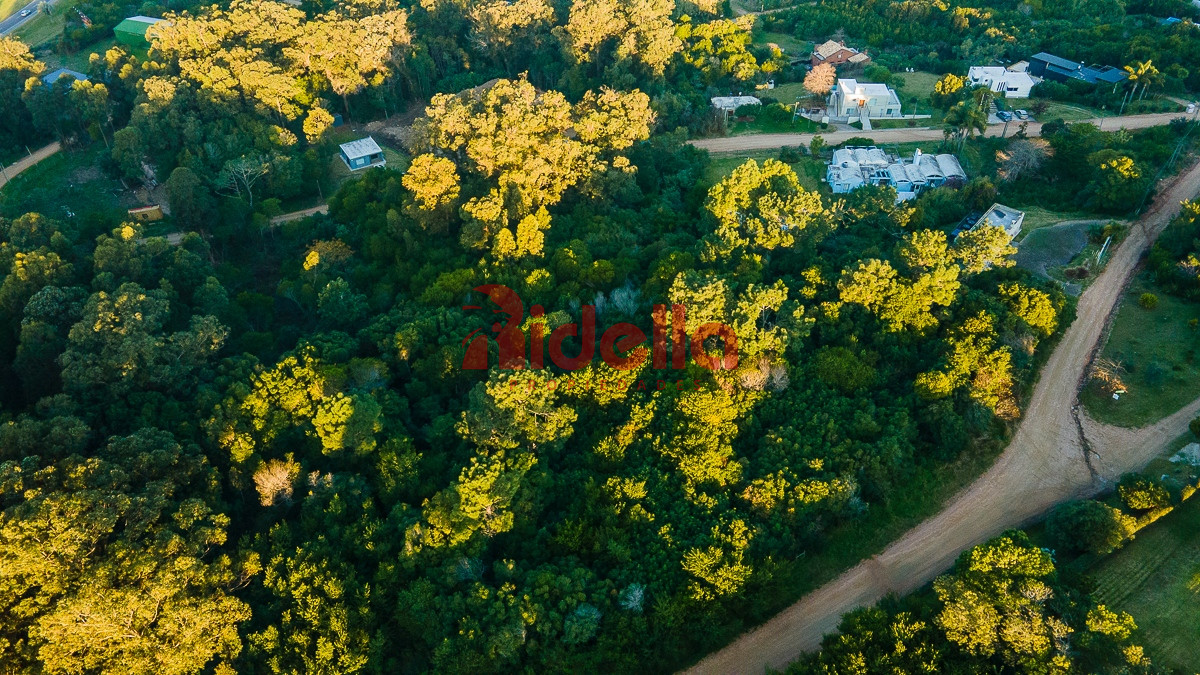 Terreno ID.566 - Terreno en venta en Punta Ballena, Maldonado