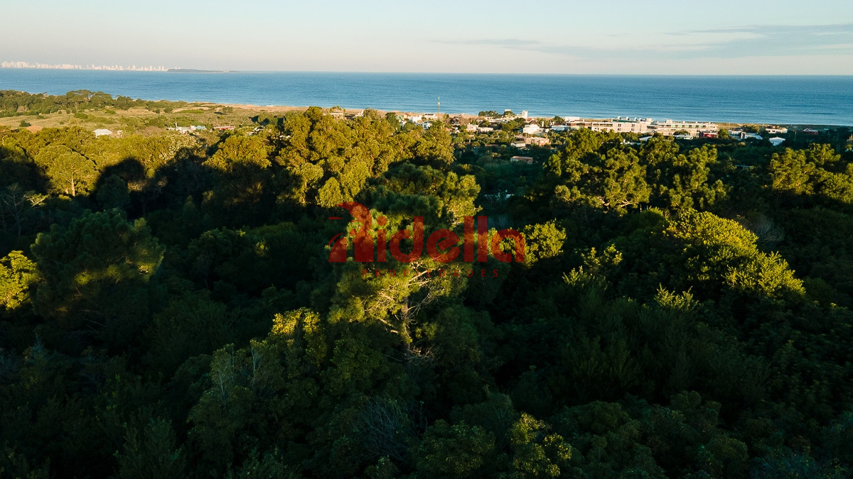 Terreno ID.566 - Terreno en venta en Punta Ballena, Maldonado