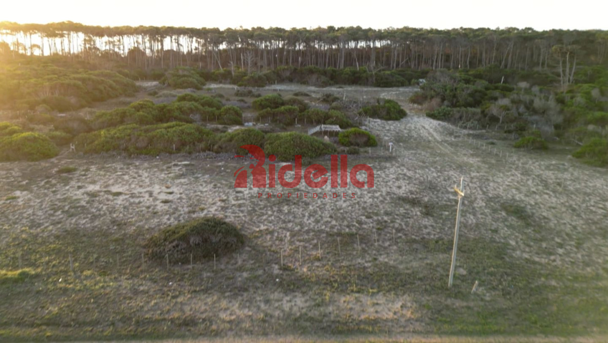 Terreno ID.207 - Lote en venta José Ignacio 