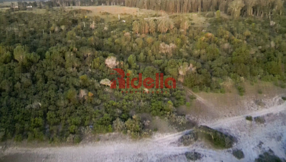 Terreno ID.207 - Lote en venta José Ignacio 