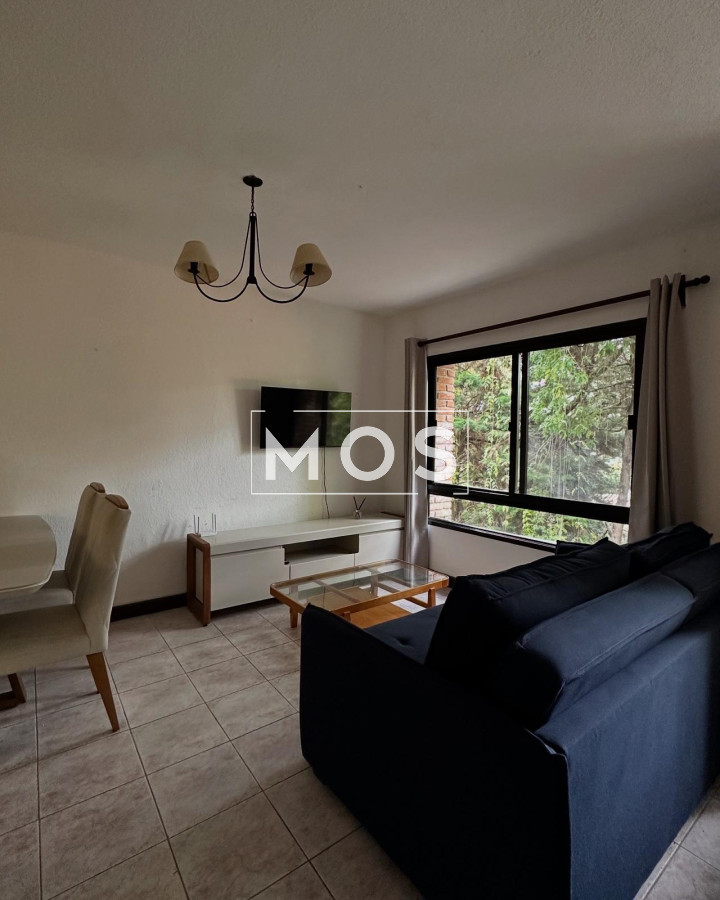 Apartamento ID.2800 - ALQUILER UN AMBIENTE EN PUNTA DEL ESTE 