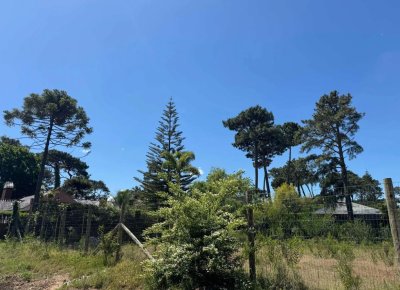 TERRENO EN VENTA PUNTA DEL ESTE BARRIO LUGANO