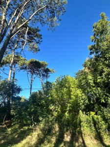 OPORTUNIDAD TERRENO EN BARRIO MARLY 