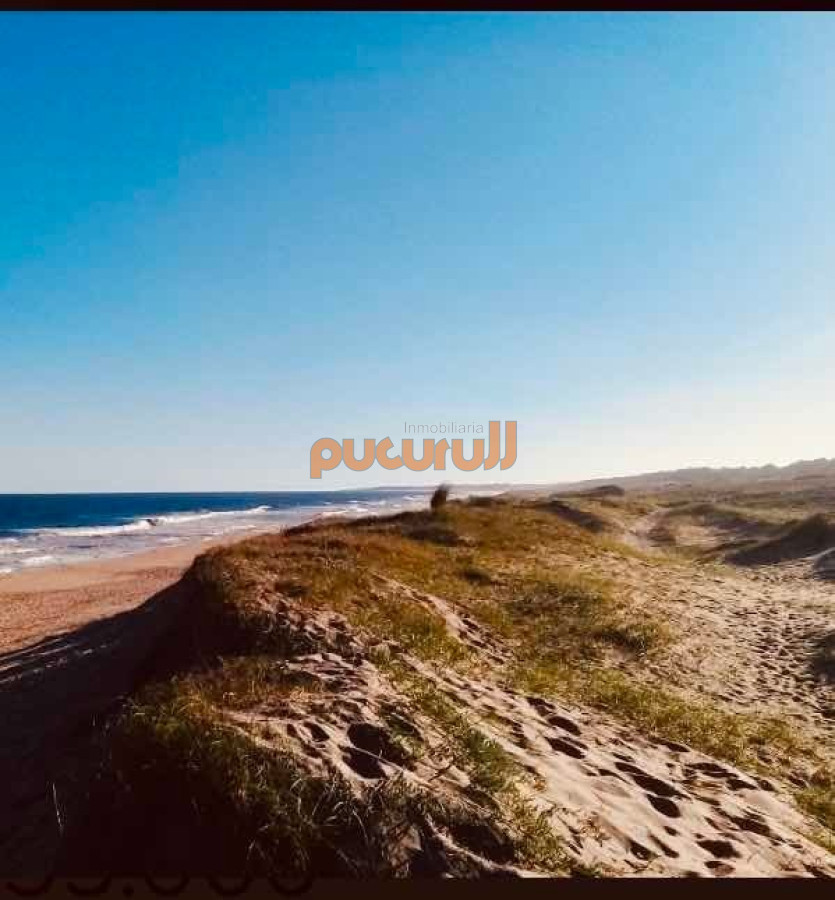 Sauce de Portezuelo - GoPunta - Portal Inmobiliario de Punta del Este - Maldonado