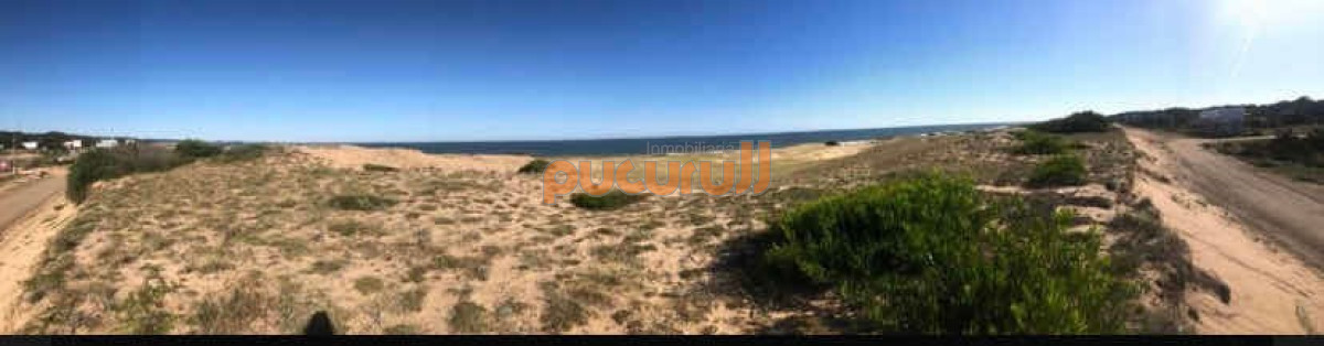 Sauce de Portezuelo - GoPunta - Portal Inmobiliario de Punta del Este - Maldonado
