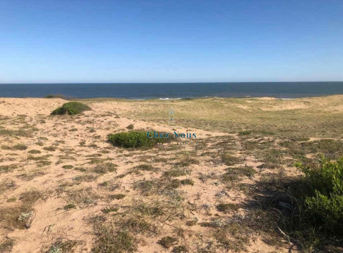 Terreno ID.425 - Terreno En Venta Frente Al Mar, Sauce De Portezuelo, Maldonado, Oportunidad!! Rebajado!!