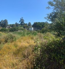 Terreno en Balneario Buenos Aires
