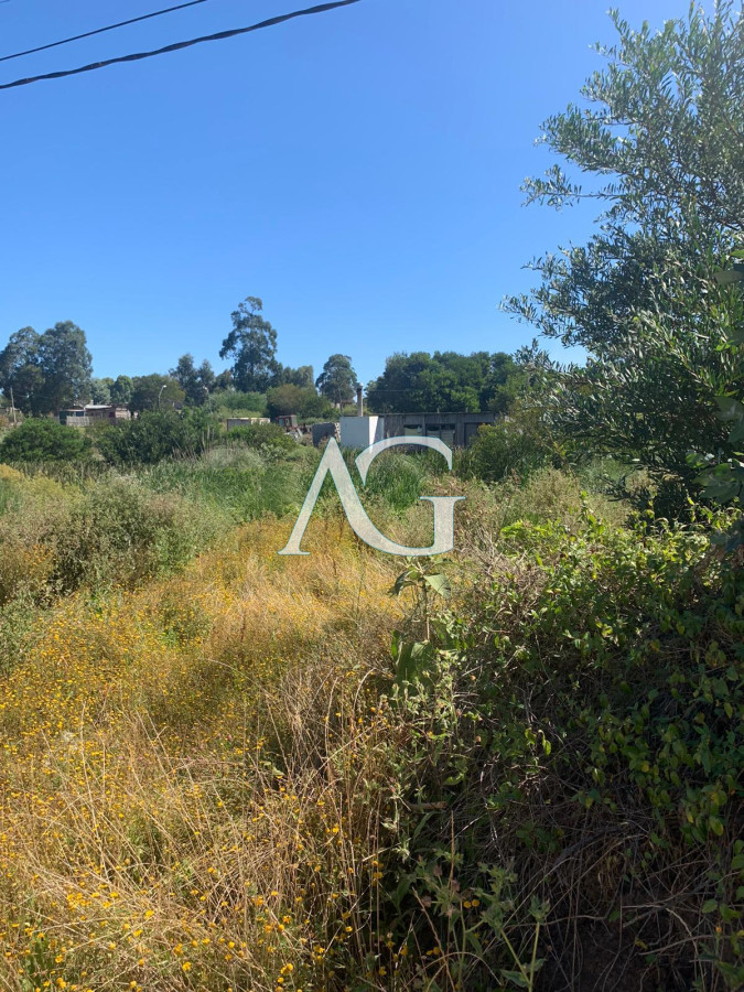 Terreno ID.64 - Terreno en Balneario Buenos Aires