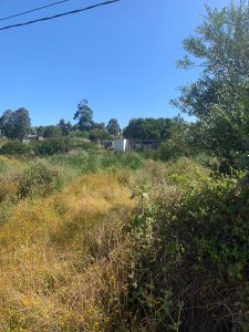Terreno en Balneario Buenos Aires