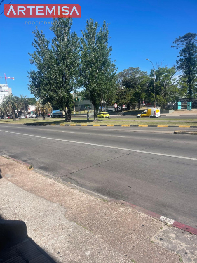 Apartamento ID.900 -  1 dormitorio planta baja sin GGCC