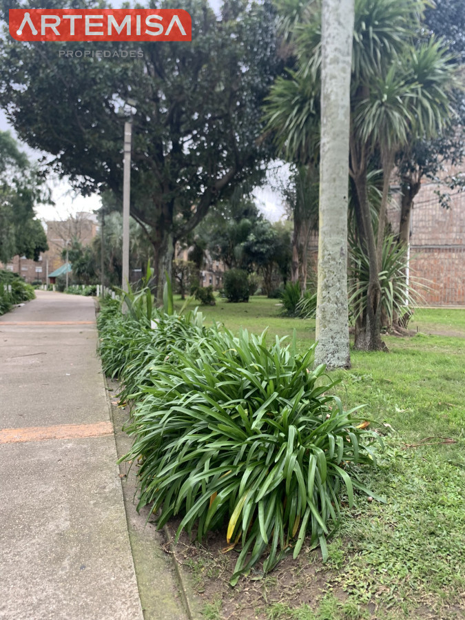 Apartamento ID.843 - Muy iluminado Apto 2 dormitorios