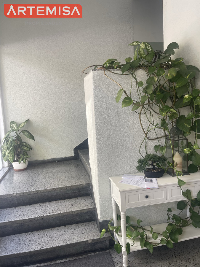 Apartamento ID.746 - Muy Iluminado y remodelado Apto 3 dorm. balcón y amplia terraza.