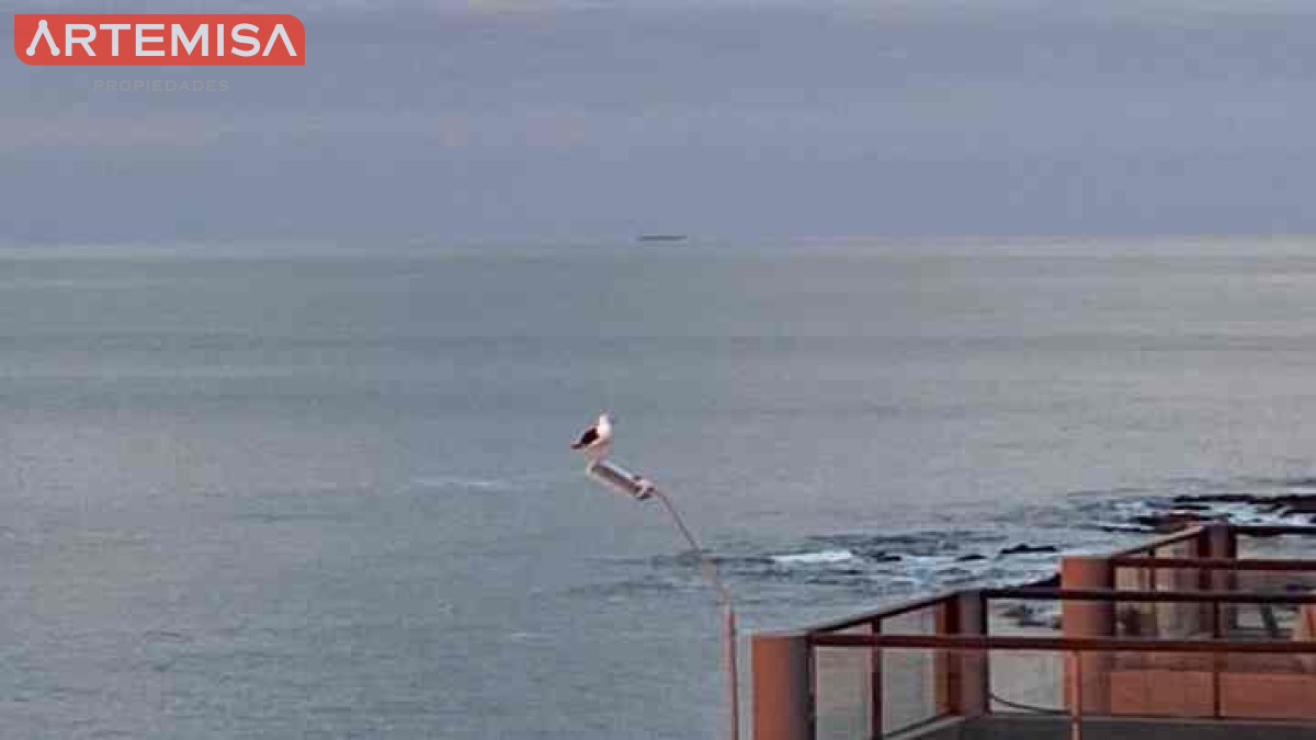 Apartamento ID.975 - Espectacular PENTHOUSE DUPLEX  frente al MAR 4 SUITES