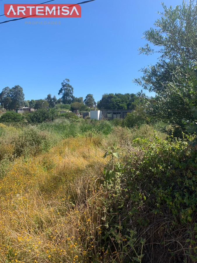 Terreno ID.747 - Terreno en Balneario Buenos Aires