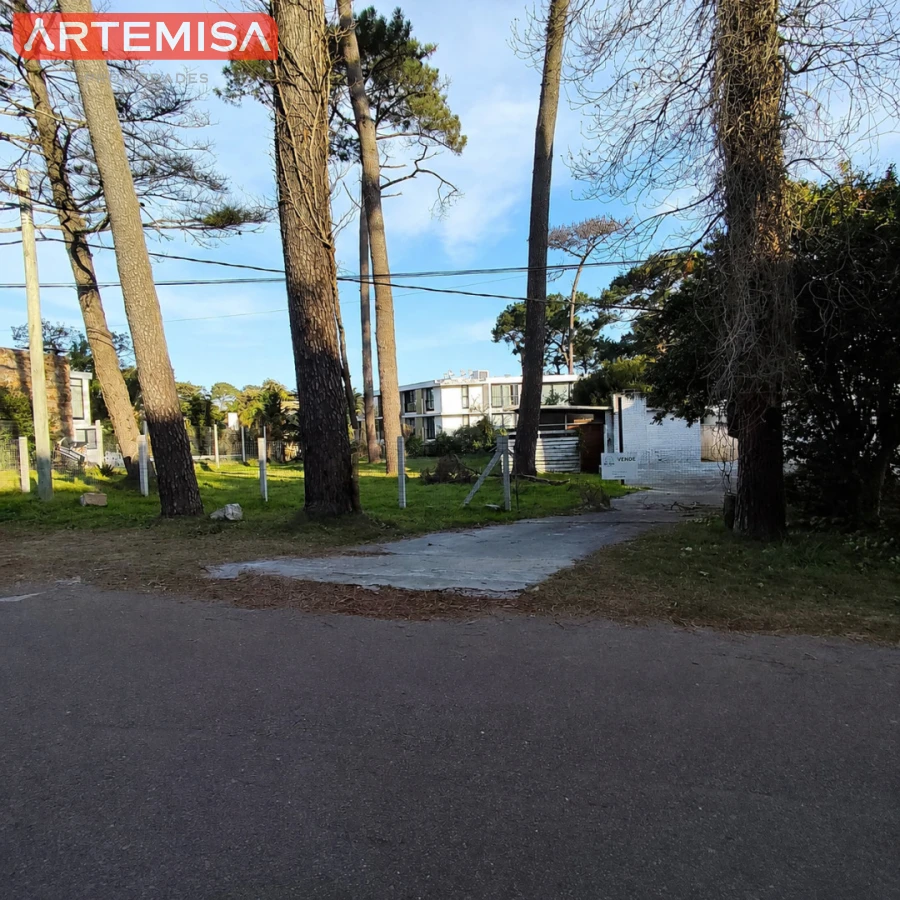 Terreno ID.960 - TERRENO EN BARRIO CANTEGRIL 