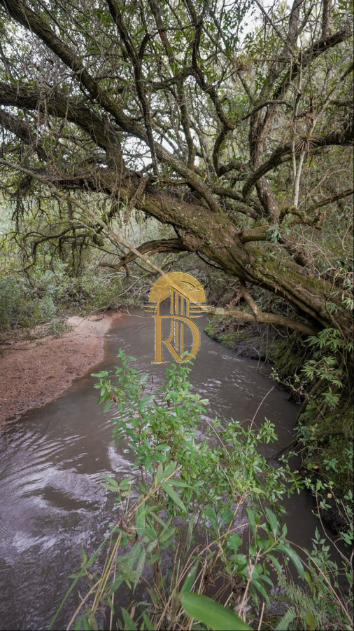 OPORTUNIDAD: Chacra 20 ha venta en las sierras de Garzón -id-443