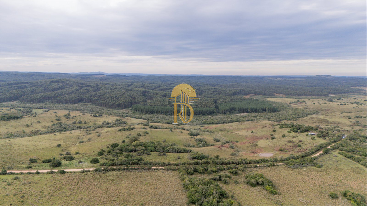 OPORTUNIDAD: Chacra 20 ha venta en las sierras de Garzón -id-443-9