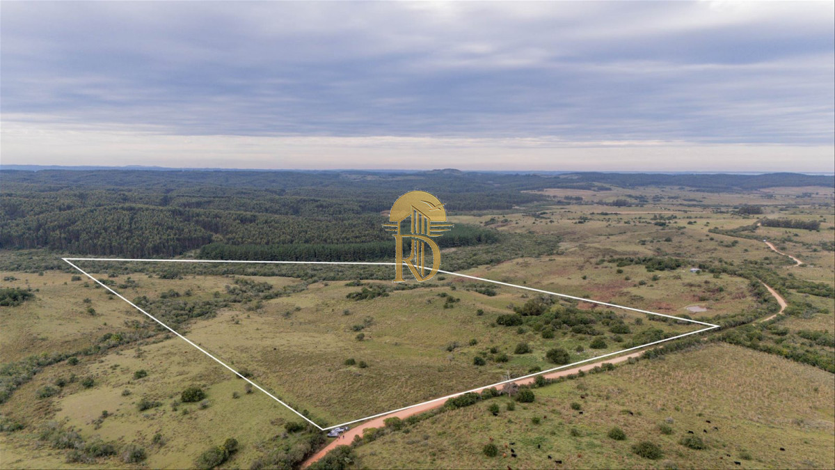 OPORTUNIDAD: Chacra 20 ha venta en las sierras de Garzón -id-443-10