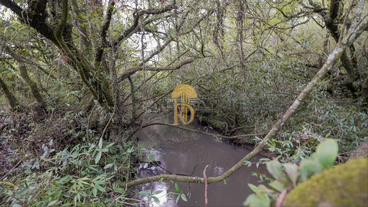 OPORTUNIDAD: Chacra 20 ha venta en las sierras de Garzón -id-443-11