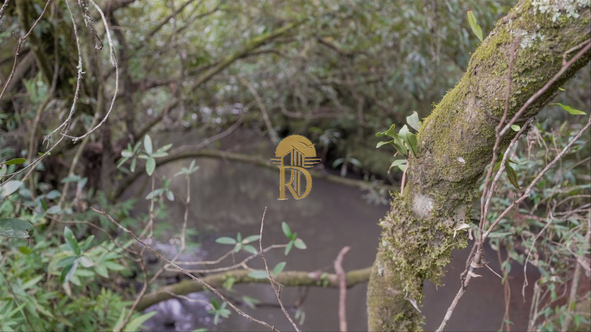 OPORTUNIDAD: Chacra 20 ha venta en las sierras de Garzón -id-443-12