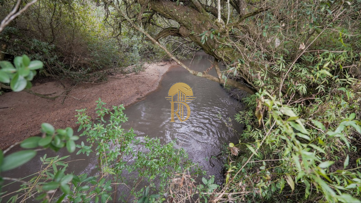 OPORTUNIDAD: Chacra 20 ha venta en las sierras de Garzón -id-443-13