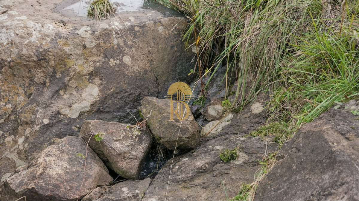 OPORTUNIDAD: Chacra 20 ha venta en las sierras de Garzón -id-443-14