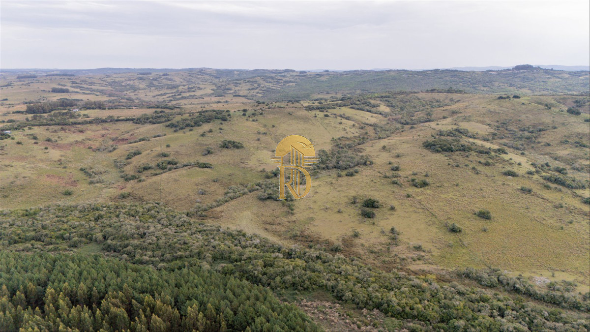 OPORTUNIDAD: Chacra 20 ha venta en las sierras de Garzón -id-443-1
