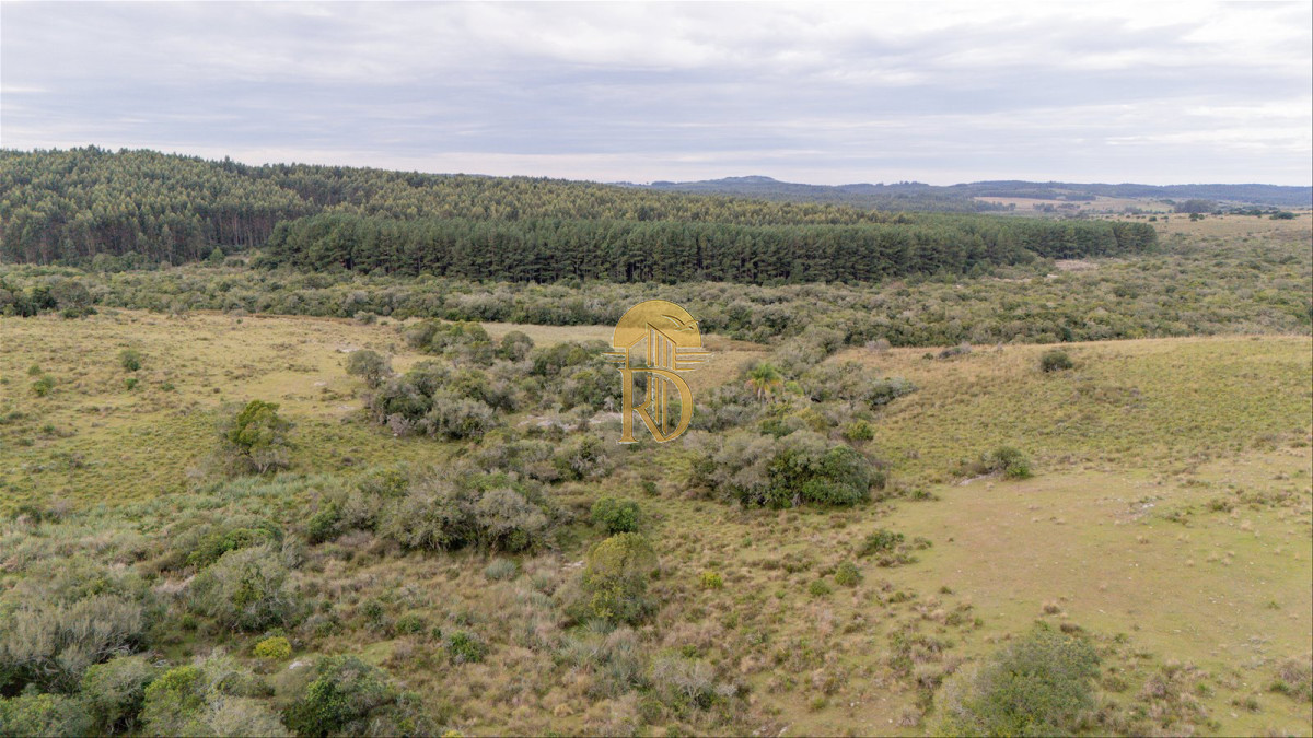 OPORTUNIDAD: Chacra 20 ha venta en las sierras de Garzón -id-443-3