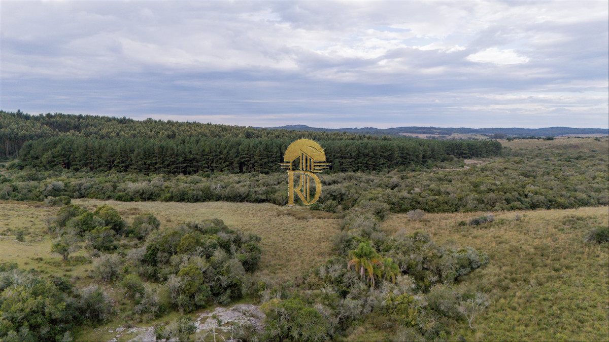 OPORTUNIDAD: Chacra 20 ha venta en las sierras de Garzón -id-443-4