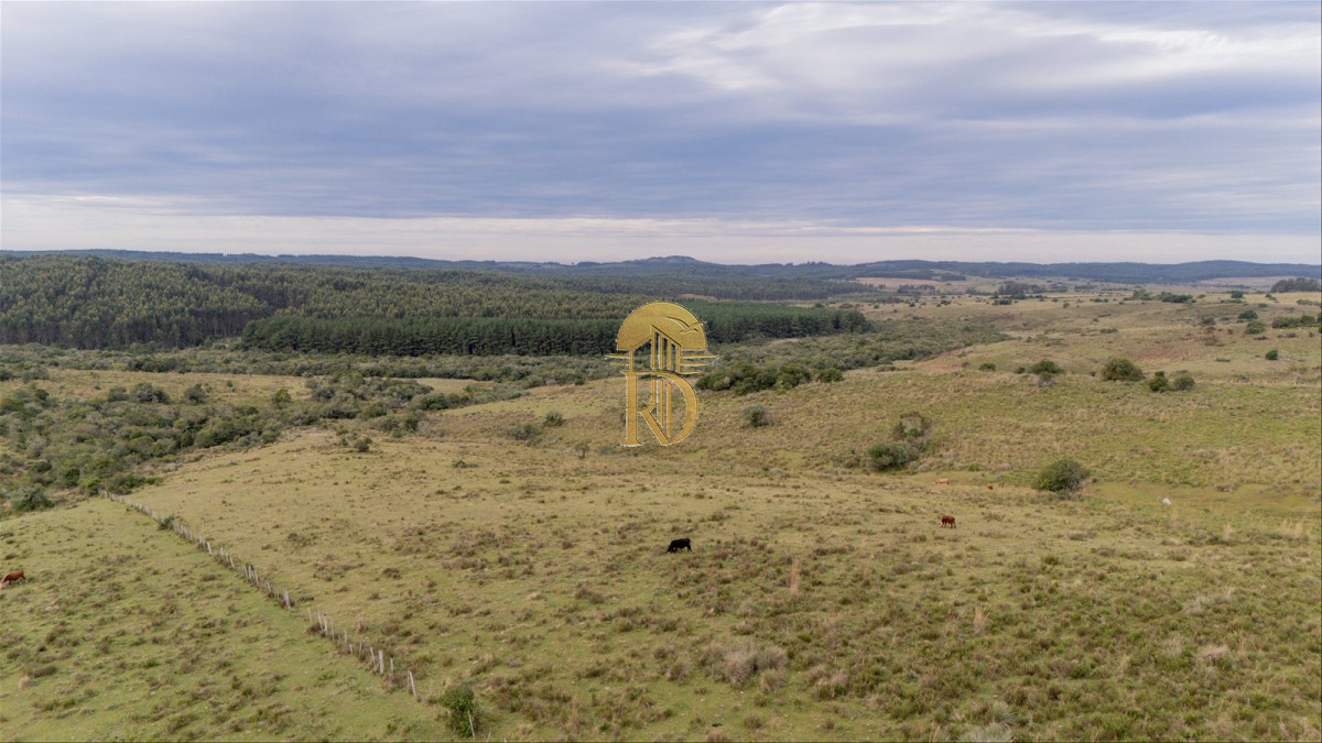 OPORTUNIDAD: Chacra 20 ha venta en las sierras de Garzón -id-443-5